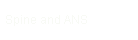 Spine and ANS